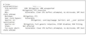 /sys/devices/system/cpu/vulnerabilities의 리스트에 있는 CPU 취약점 정보를 확인할 수 있다는 명령어의 예시
